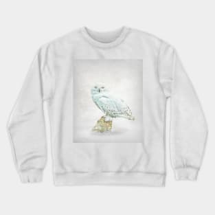 Snowy owl portrait Crewneck Sweatshirt